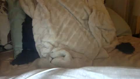 Snapshot of tatiannatease chatting on 11, 1, 2025 Tatianna Marie online show from 11, 1, 2025