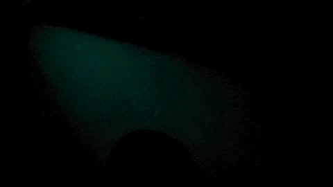 Snapshot of tatko874482 chatting on 4, 7, 2026 Beliqnegar online show from 4, 7, 2026