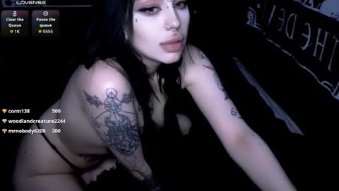 tattoorug online show from 8, 3, 2026