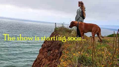 TATUM  ALL MY LINKS  online show from 23, 10, 2025