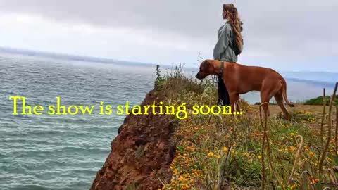 TATUM  ALL MY LINKS  online show from 12, 2, 2026