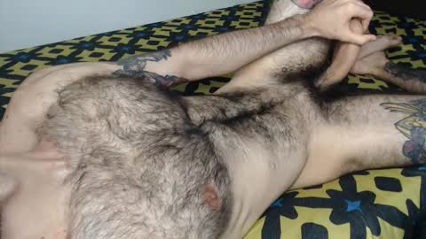 Taylor online show from 14, 1, 2026