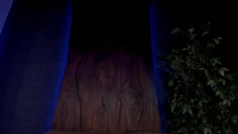 Snapshot of taylor_jonnees chatting on 7, 12, 2024 Taylor  Help me to get 100 thumbs up online show from 7, 12, 2024