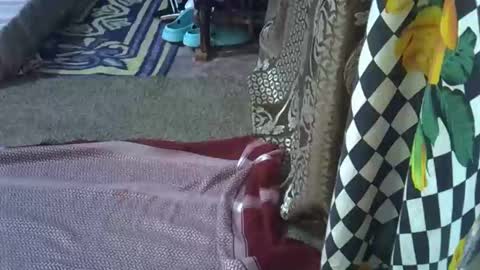 Snapshot of teabody1 chatting on 8, 3, 2026 teabody1 online show from 8, 3, 2026