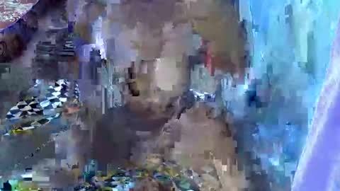 Snapshot of teabody1 chatting on 23, 3, 2026 teabody1 online show from 23, 3, 2026