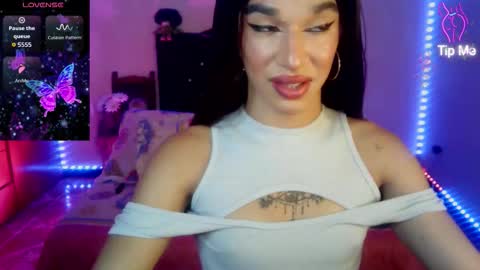 Terra obsession online show from 23, 3, 2026