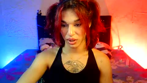 Terra obsession online show from 21, 7, 2026