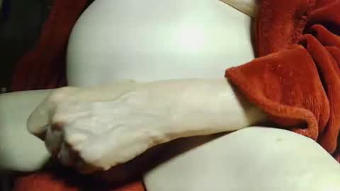 tetuo2 online show from 8, 10, 2025