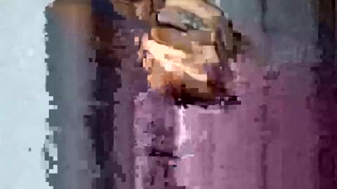 TexasDick online show from 16, 11, 2025