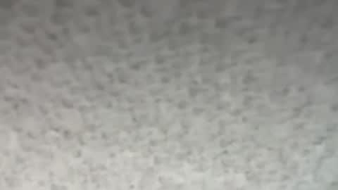 thankyoudaddy1 online show from 28, 10, 2025