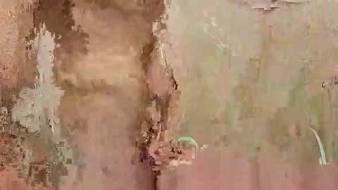 the1st_play_girl online show from 30, 12, 2024