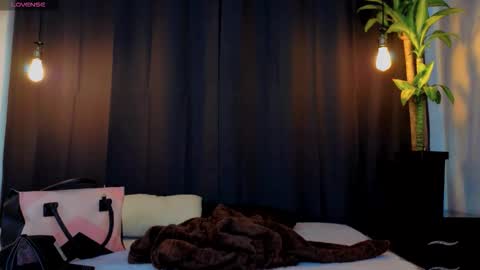 Snapshot of the_prince_sam chatting on 6, 11, 2025 the_prince_sam online show from 6, 11, 2025