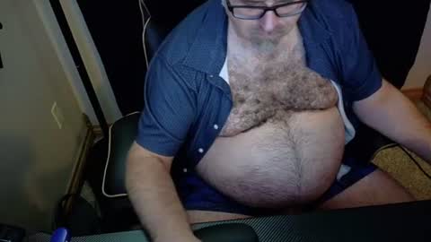 The Bear King online show from 14, 7, 2026