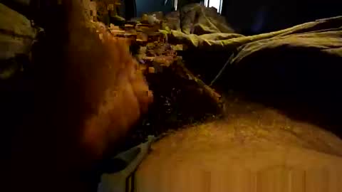 thebest153 online show from 3, 4, 2026