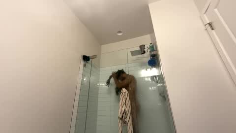 king capo thee online show from 26, 12, 2024