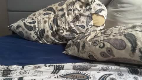 Snapshot of theeshooterr chatting on 5, 12, 2024 theeshooterr online show from 5, 12, 2024