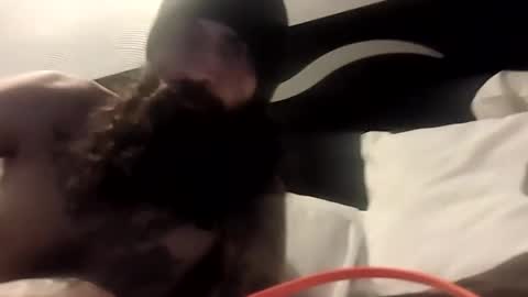 Snapshot of theh4iryfi5h chatting on 21, 2, 2026 theh4iryfi5h online show from 21, 2, 2026