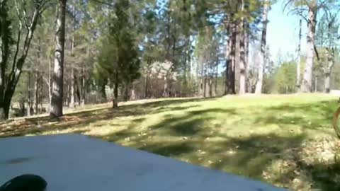 Daisy and Tim online show from 19, 3, 2026