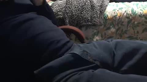 thetnguy online show from 12, 1, 2025