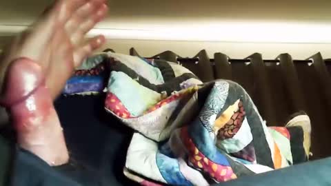 thisbloke96 online show from 4, 3, 2026