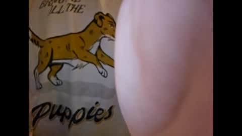 ThisIsFuckingFun online show from 4, 3, 2025