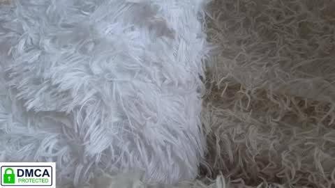 tia_j online show from 16, 1, 2025