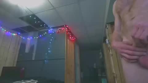 Tigars36 online show from 28, 12, 2024