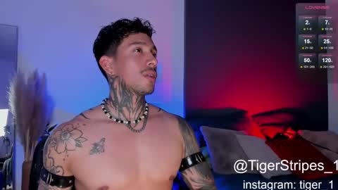 Snapshot of tigerstripes_ chatting on 2, 2, 2025 Chris online show from 2, 2, 2025