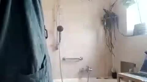 tigertrance online show from 11, 11, 2025