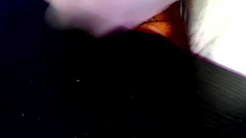 timer08230823 online show from 19, 4, 2026