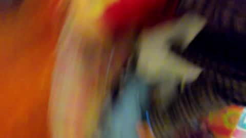 Snapshot of timewith_sebas chatting on 15, 5, 2026 salem online show from 15, 5, 2026