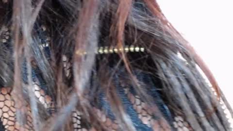 Snapshot of tinakay1 chatting on 17, 12, 2024 tinakay1 online show from 17, 12, 2024