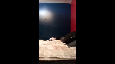 tinycock74478 online show from 19, 3, 2026