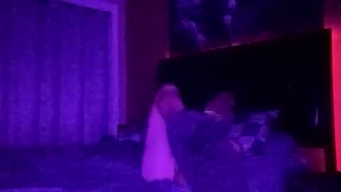 tipme240734 online show from 24, 11, 2025