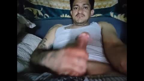 Nelson online show from 26, 2, 2026