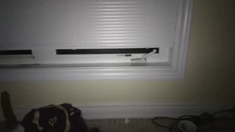 tj526316275 online show from 23, 4, 2026