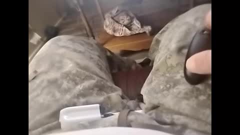 Snapshot of tjllagwbggrr chatting on 3, 2, 2026 tjllagwbggrr online show from 3, 2, 2026