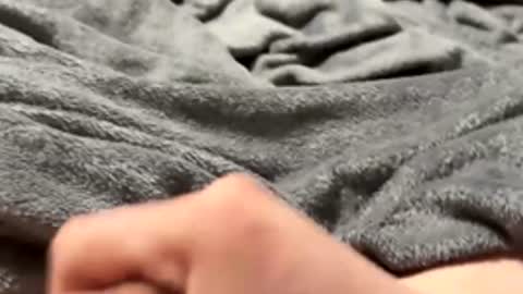 Snapshot of tmue chatting on 15, 2, 2026 tmue online show from 15, 2, 2026