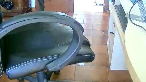 Tobiko online show from 17, 2, 2026