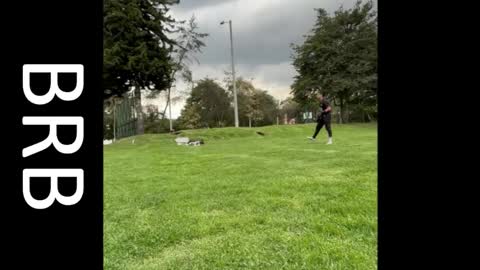 TOM online show from 2, 3, 2026