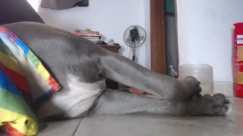 Snapshot of tommy_c0rtez chatting on 4, 2, 2025 Thomas online show from 4, 2, 2025