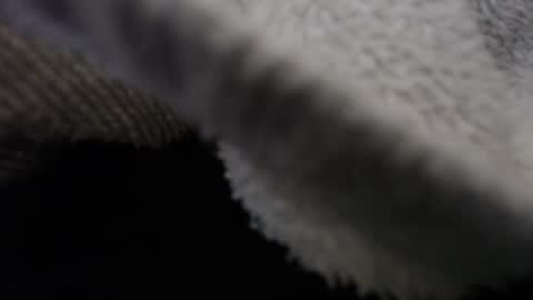 Snapshot of tommy_c0rtez chatting on 12, 2, 2025 Thomas online show from 12, 2, 2025