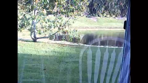 tonymcfly99 online show from 21, 2, 2025