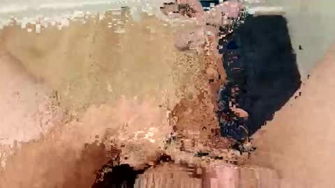 ARKANSAS THICK WOOD online show from 4, 3, 2026