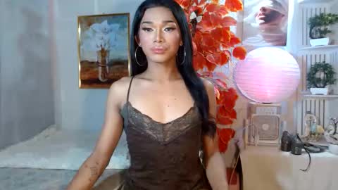 toptrans venice online show from 14, 4, 2026