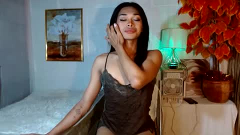 toptrans venice online show from 17, 4, 2026