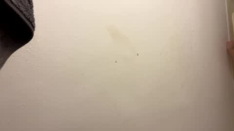 toronto5656 online show from 31, 1, 2025