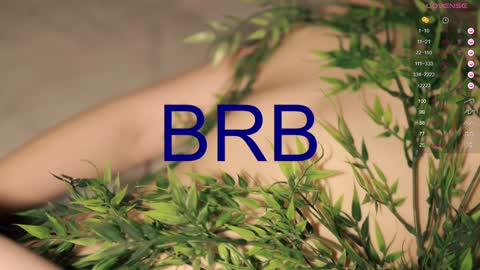 Toshi online show from 15, 12, 2024