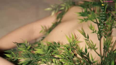 Toshi online show from 10, 2, 2025