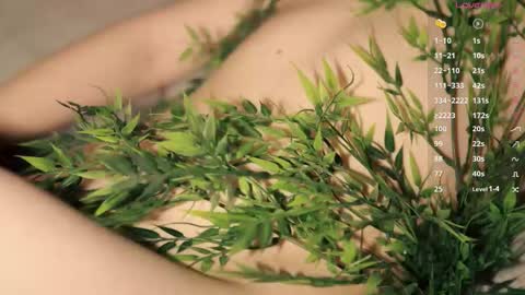 Snapshot of toshimori chatting on 17, 12, 2025 Toshi online show from 17, 12, 2025